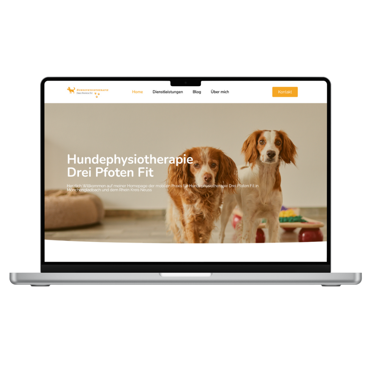 Screendesign Drei Pfoten